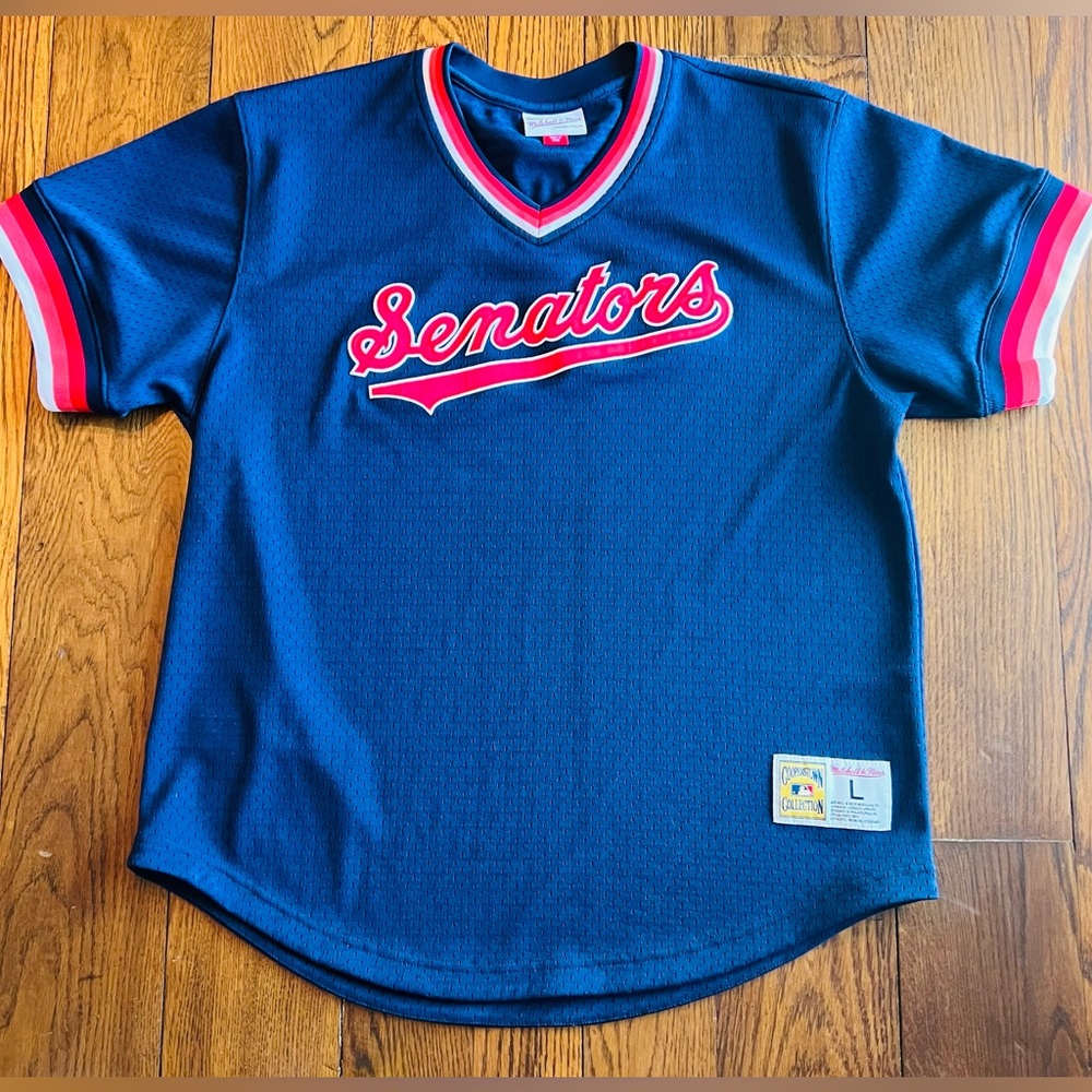 Washington Senators Nationals Retro Inspired Blue Mesh Mens MLB Jersey Sz L